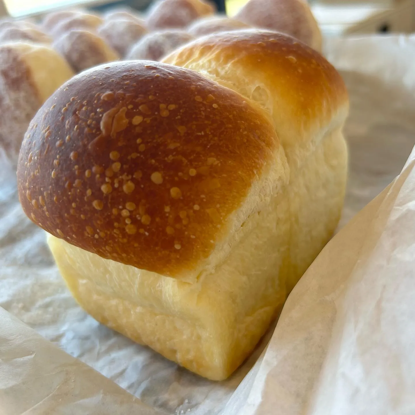 入学おめでとうございます🎉