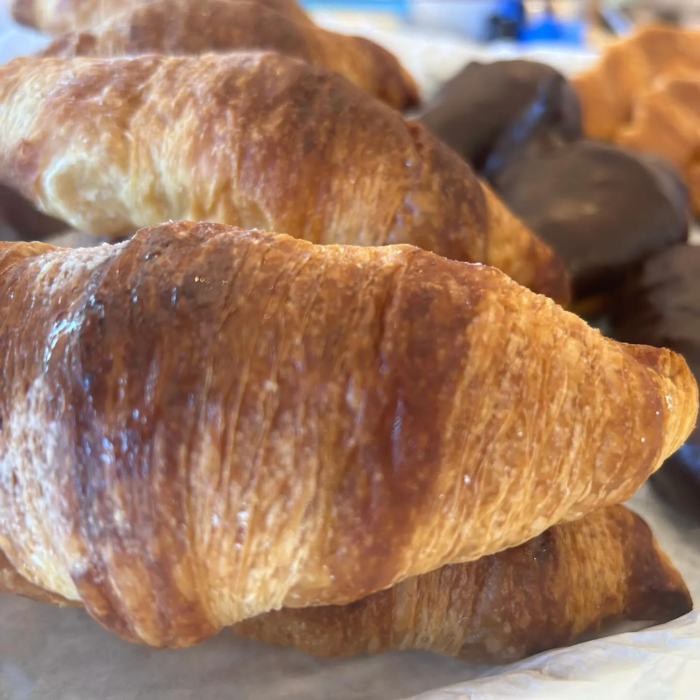 モンテの週末といえばクロワッサンシリーズ🥐