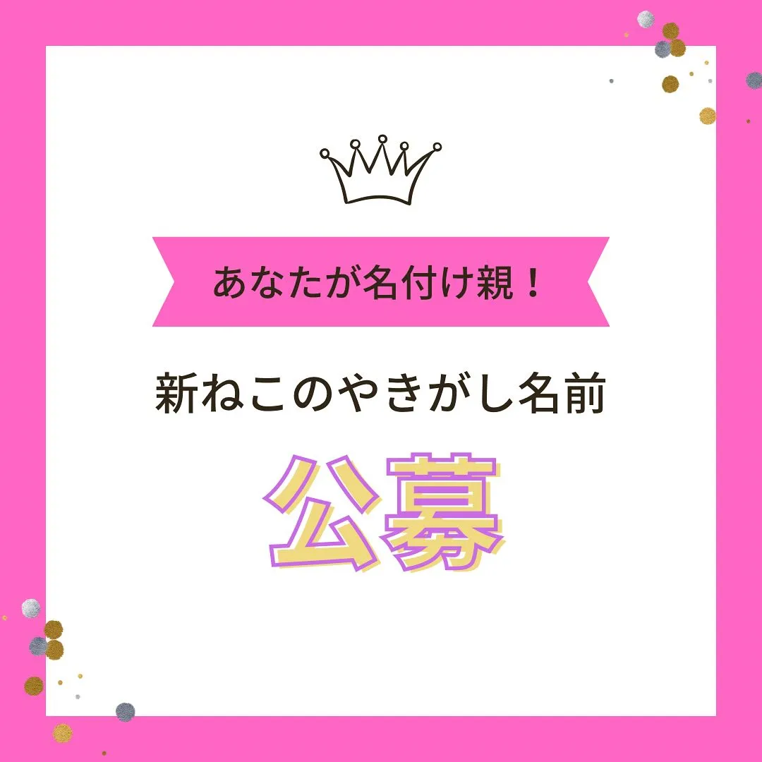 本日もモンテ秋のパン祭り🥐👨‍🍳！？