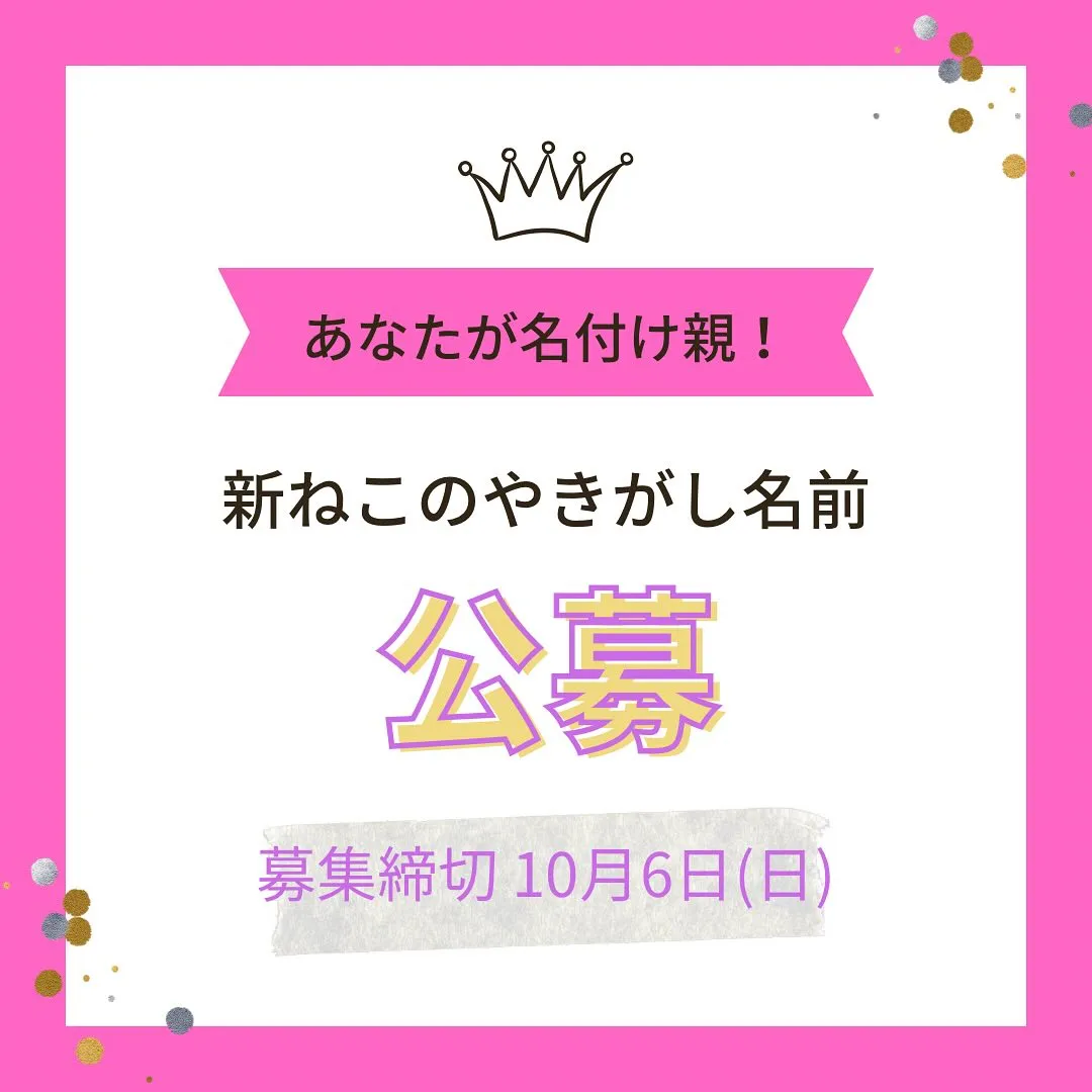 またまた登場！モンテのモンスターケーキ👾👾👾