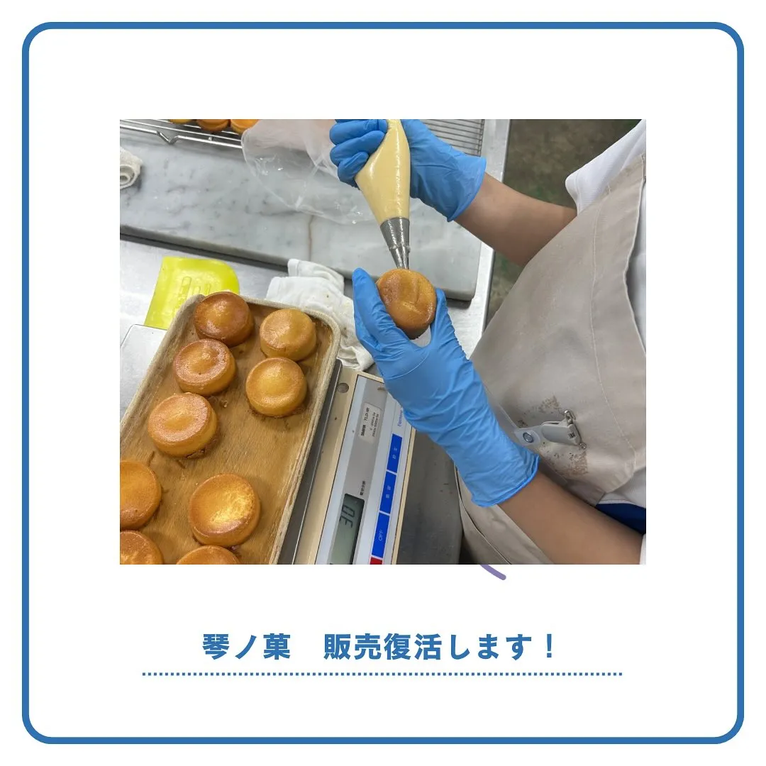 琴ノ菓！販売復活します！