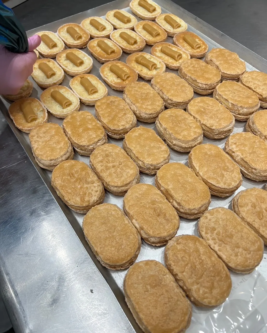 いよいよ明日！